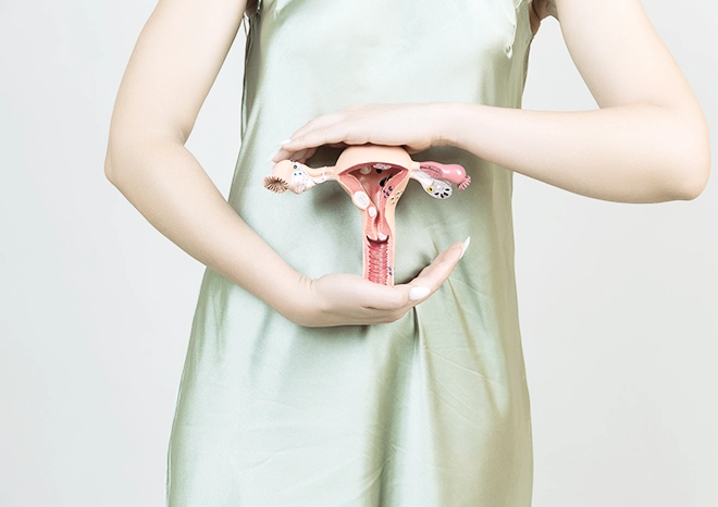 Tratamientos Uterinos